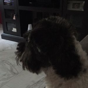 Meet your Posher, Brenda